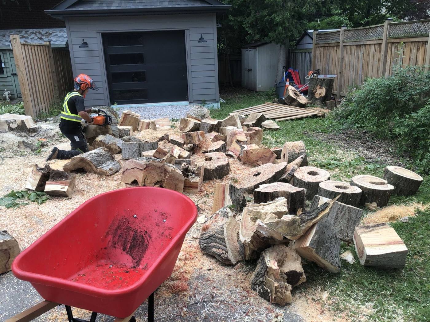 Cutting up wood after a tree removal